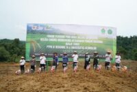 Penanaman perdana padi gogo dilakukan di atas lahan seluas 30 hektare milik Universitas Almuslim (Umuslim) yang terletak di Kecamatan Peusangan Selatan, Kabupaten Bireuen.
