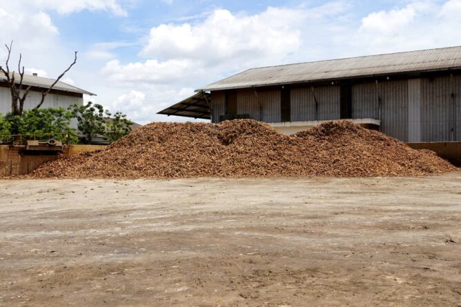 Pemprov Lampung Tetapkan Relaksasi Rafaksi Harga Ubi Kayu Pemprov Lampung Tetapkan Relaksasi Rafaksi Harga Ubi Kayu