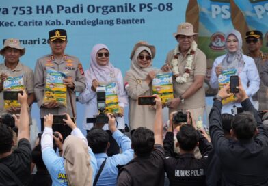 Panen Raya 753 Hektare di Carita, Pandeglang Perkuat Komitmen Swasembada Pangan Nasional