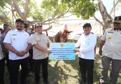 Kasatgas Tito Serahkan Bantuan Sapi Presiden Prabowo kepada Masyarakat Aceh Kasatgas Tito Serahkan Bantuan Sapi Presiden Prabowo kepada Masyarakat Aceh