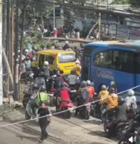 Pohon Tumbang di Depan SPBU Cipondoh Sebabkan Kemacetan Parah