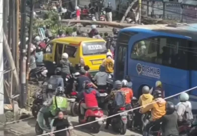 Pohon Tumbang di Depan SPBU Cipondoh Sebabkan Kemacetan Parah