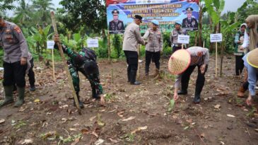 Polres Pandeglang Gelar Penanaman Jagung Serentak Kuartal I Tahun 2026 di Kecamatan Kalanganyar