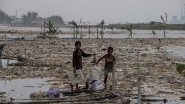 Dorong Pemulihan Ekonomi, Satgas PRR Segera Rehabilitasi Tambak dan Keramba Terdampak Dorong Pemulihan Ekonomi, Satgas PRR Segera Rehabilitasi Tambak dan Keramba Terdampak