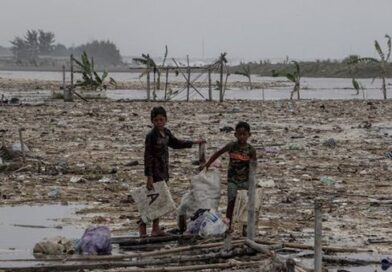 Dorong Pemulihan Ekonomi, Satgas PRR Segera Rehabilitasi Tambak dan Keramba Terdampak Dorong Pemulihan Ekonomi, Satgas PRR Segera Rehabilitasi Tambak dan Keramba Terdampak