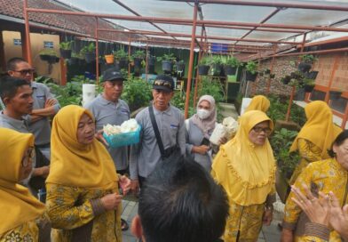 Wamen Ekraf Tinjau Kampung Kreatif di Sleman, Soroti Transformasi Berbasis Komunitas Wamen Ekraf Tinjau Kampung Kreatif di Sleman, Soroti Transformasi Berbasis Komunitas