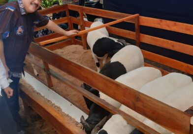 UPZ IKA Unpad Tebar Daging Kurban untuk Masyarakat Sekitar Kampus Jatinangor