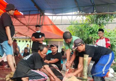 Masjid Nurul Hidayah Kayen Sembelih 14 Sapi dan 23 Kambing pada Iduladha 1447 H