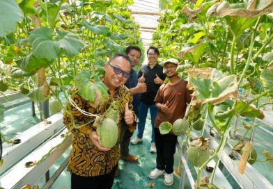 UMY Perkuat Ekosistem Wirausaha Berbasis Inovasi, Inofarm Kembangkan Melon Hidroponik dan Ketahanan Pangan DIY