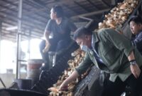 H. Herman Deru melihat langsung kualitas bahan baku ubi kayu pada mesin konveyor saat meninjau pabrik tapioka di kawasan Indralaya Utara, Kabupaten Ogan Ilir