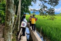 Peninjauan lahan sawah terdampak di Kabupaten Nagan Raya, Aceh. dok : Satgas PRR/kementerian PU