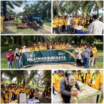 87 Pekebun Sawit Labusel Dapat Pelatihan BPDP, Produktivitas Didorong Meningkat