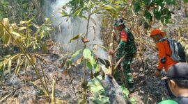 Tim gabungan yang terdiri dari TNI dan relawan memadamkan titik api kebakaran hutan dan lahan di kawasan Perhutani Kaliguwo-Kaliwiro, Wonosobo