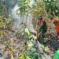 Tim gabungan yang terdiri dari TNI dan relawan memadamkan titik api kebakaran hutan dan lahan di kawasan Perhutani Kaliguwo-Kaliwiro, Wonosobo