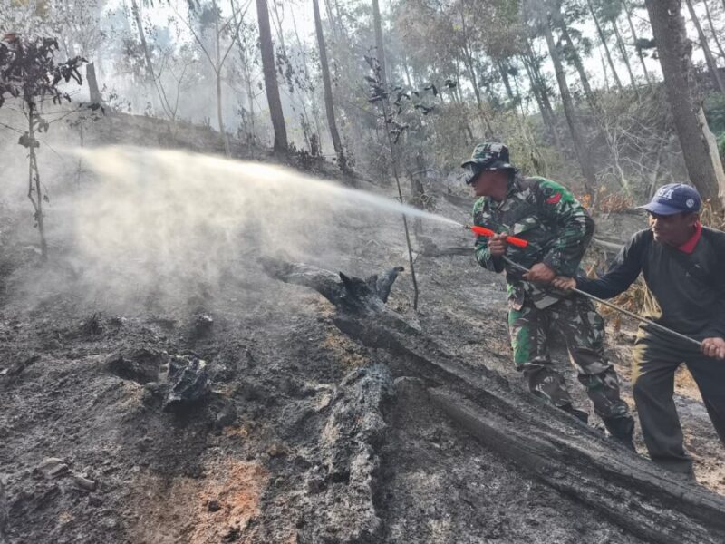 Personel Koramil 11 Kaliwiro bersama warga menyemprot sisa bara api saat proses pendinginan lahan bekas kebakaran di Bukit Bluwuk, Desa Kaliguwo, Kaliwiro, Wonosobo