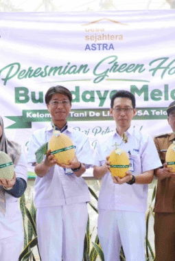 berita-rekomendasi-foto